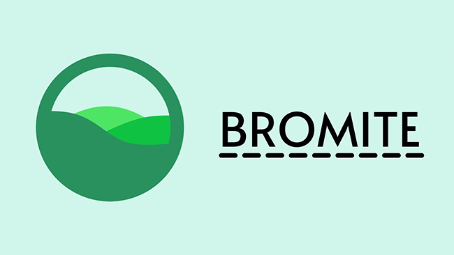 bromite 浏览器